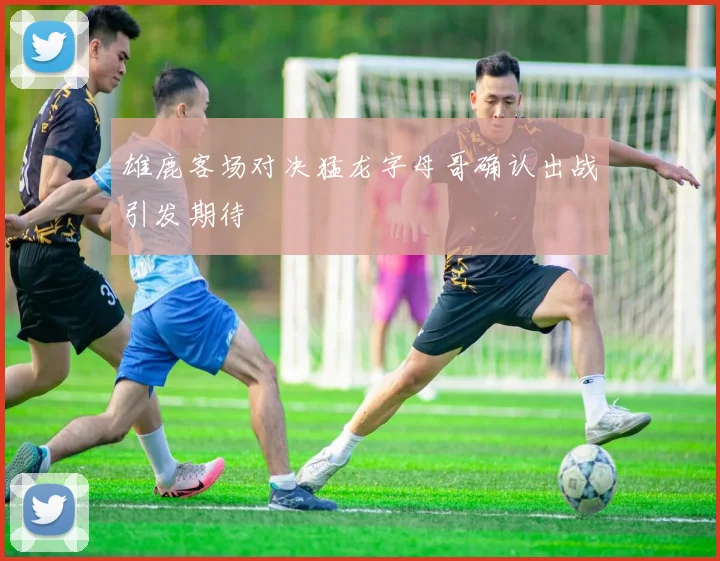 雄鹿客场对决猛龙字母哥确认出战引发期待