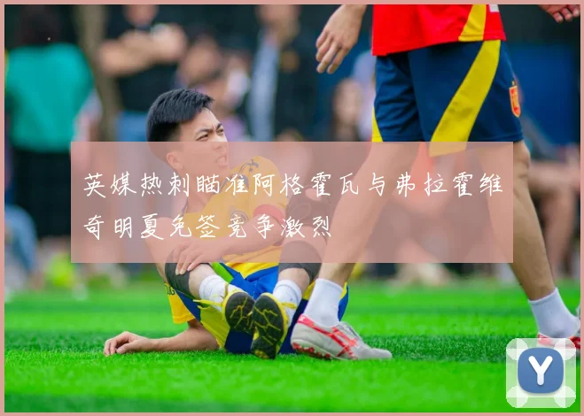 英媒热刺瞄准阿格霍瓦与弗拉霍维奇明夏免签竞争激烈