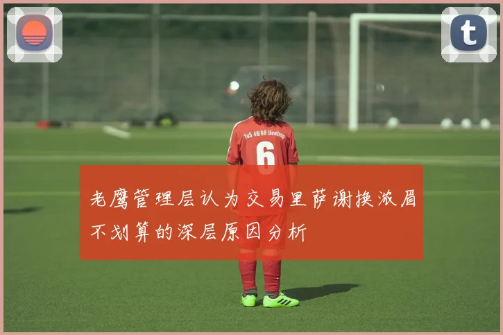 老鹰管理层认为交易里萨谢换浓眉不划算的深层原因分析
