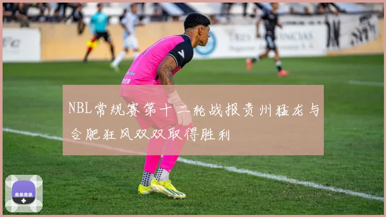 NBL常规赛第十二轮战报贵州猛龙与合肥狂风双双取得胜利