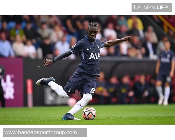 热刺本赛季伤病情况严重15人次受伤缺席场次高达92场居英超之首